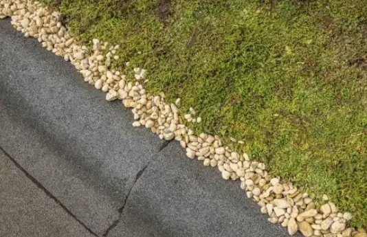 Sedum dakbedekking als duurzame keuze voor elk type dak